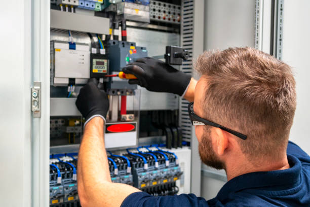 Best Electric Panel Repair  in Mascotte, FL