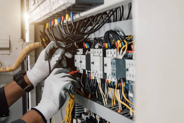 Best Local Electrician Companies  in Mascotte, FL